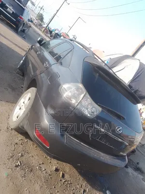 Lexus RX 2006 Gray