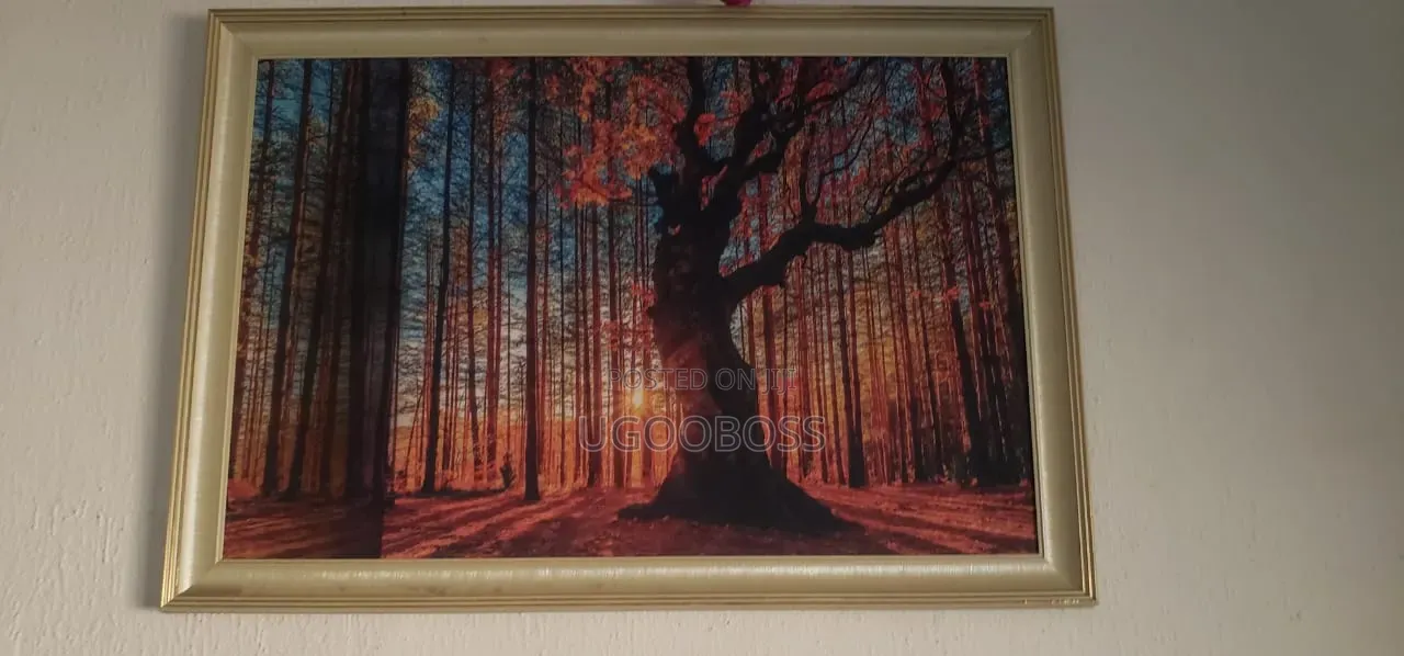 Beautiful Photo Frames for Home Decor