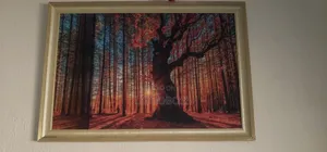 Beautiful Photo Frames for Home Decor