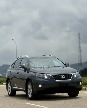 Lexus RX 350 2010 Gray