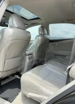 Lexus RX 350 2010 Gray