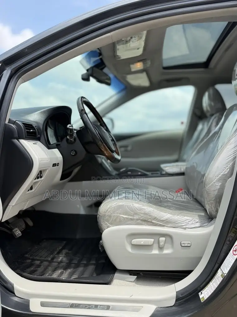 Lexus RX 350 2010 Gray