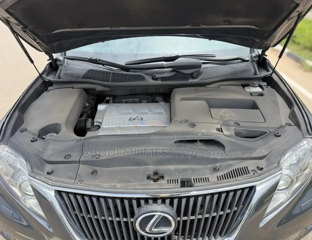 Lexus RX 350 2010 Gray