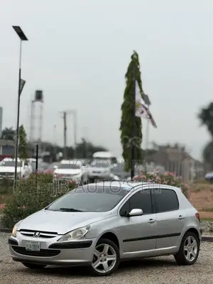 Peugeot 307 2004 Silver