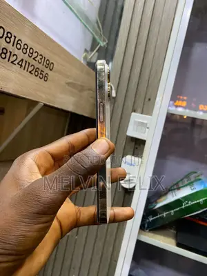 Apple iPhone 14 Pro Max 256 GB White