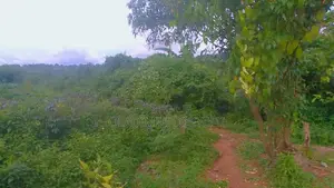 Building Land for Sale