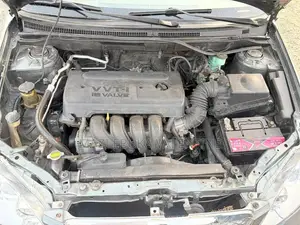 Toyota Corolla 2007 Green