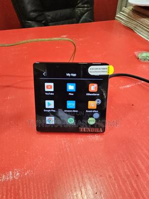 Tundra 4inches Smart Alexa Tuya WiFi Amplifier