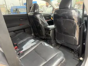 Lexus RX 350 2010 Gray