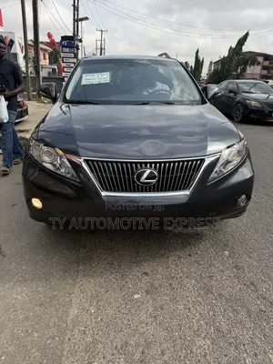 Lexus RX 350 2010 Gray