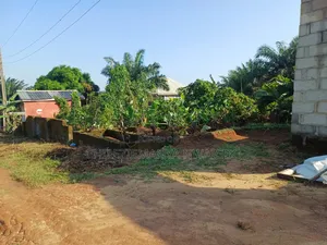 Dry Buy & Build 60x120ft Plot in Adamo, Ikorodu - Survey & Deed