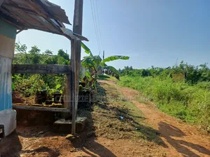 Dry Buy & Build 60x120ft Plot in Adamo, Ikorodu - Survey & Deed