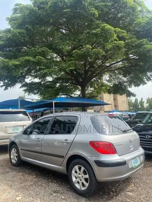 Peugeot 307 2004 Silver