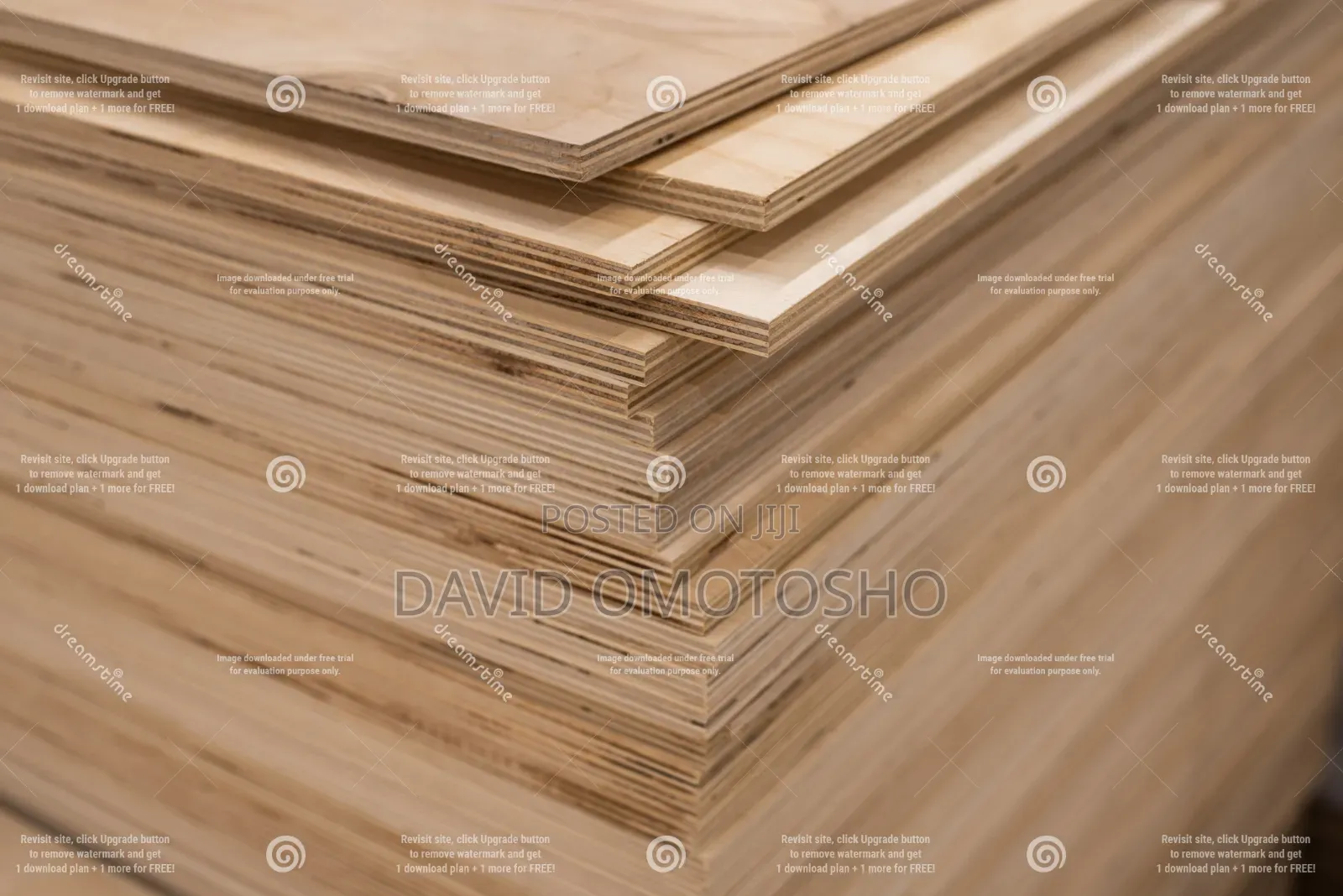Plasterboard Ceiling and Walls