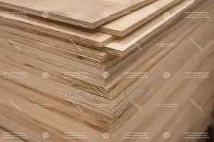 Plasterboard Ceiling and Walls