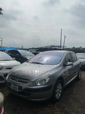 Peugeot 307 2004 Silver