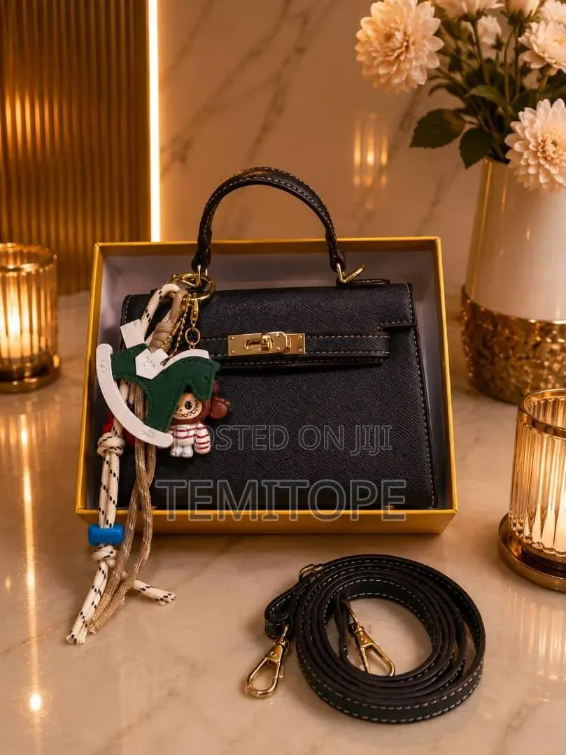 Ladies Luxury Hand Bag