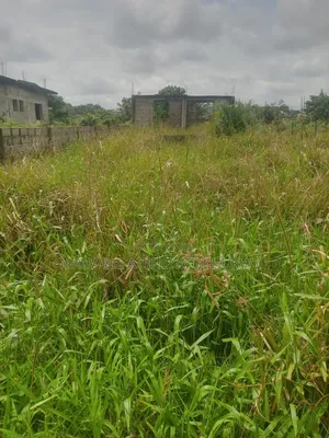 Certificate of Occupancy