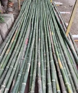 Durable Bamboo