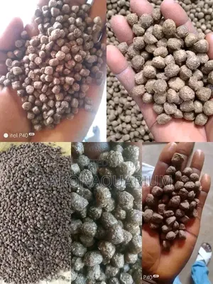 Hi-Standard Quality Feed