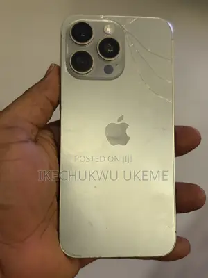 Apple iPhone 15 Pro Max 512 GB Silver