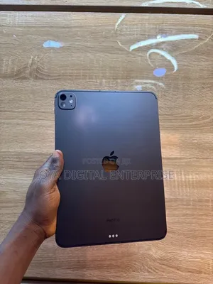 Apple iPad Pro 11 (2024) 256 GB Gray