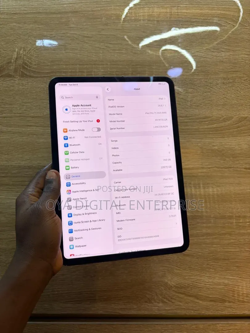 Apple iPad Pro 11 (2024) 256 GB Gray
