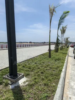 Certificate of Occupancy