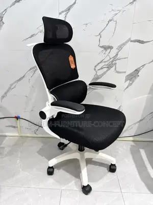 Ergonomic Home & Office Chair With Flip Armrest & Lumber Support