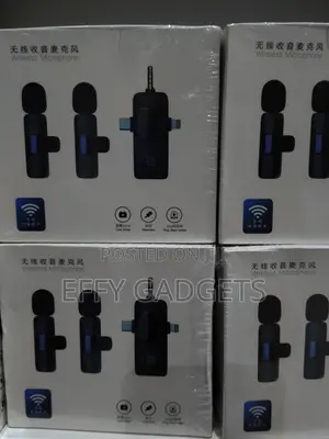 3 in 1 Wireless Mic