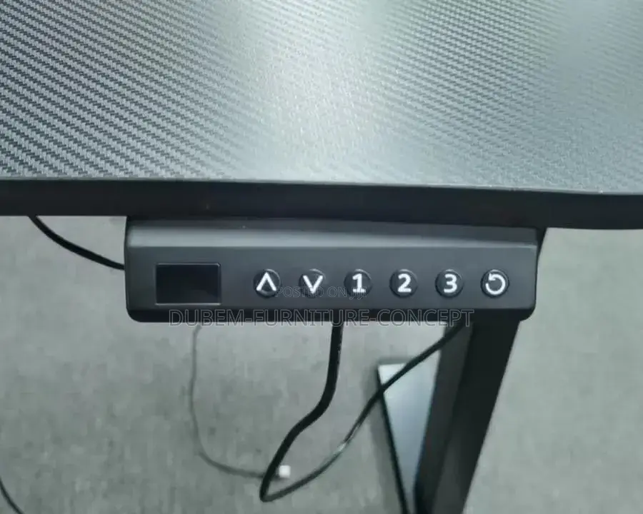 Executive Office Gaming Adjustable Height Desk RGB Lights