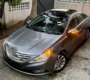 Hyundai Sonata 2014 Gray