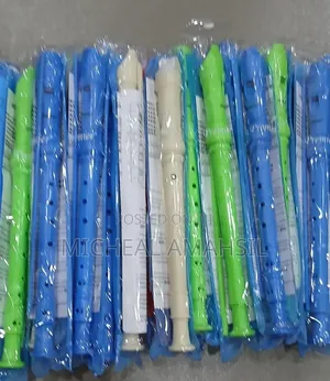 Standard Japan Recorders, One Carton by 100pcs