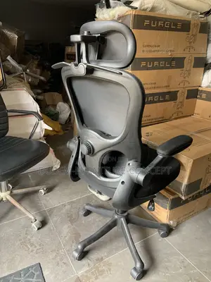 Egornomic Designed Office Chair With Lumbar Support - Black