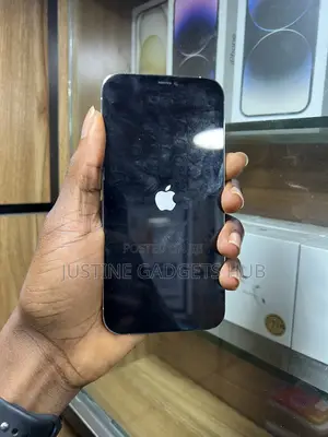 Apple iPhone 12 Pro Max 256 GB White