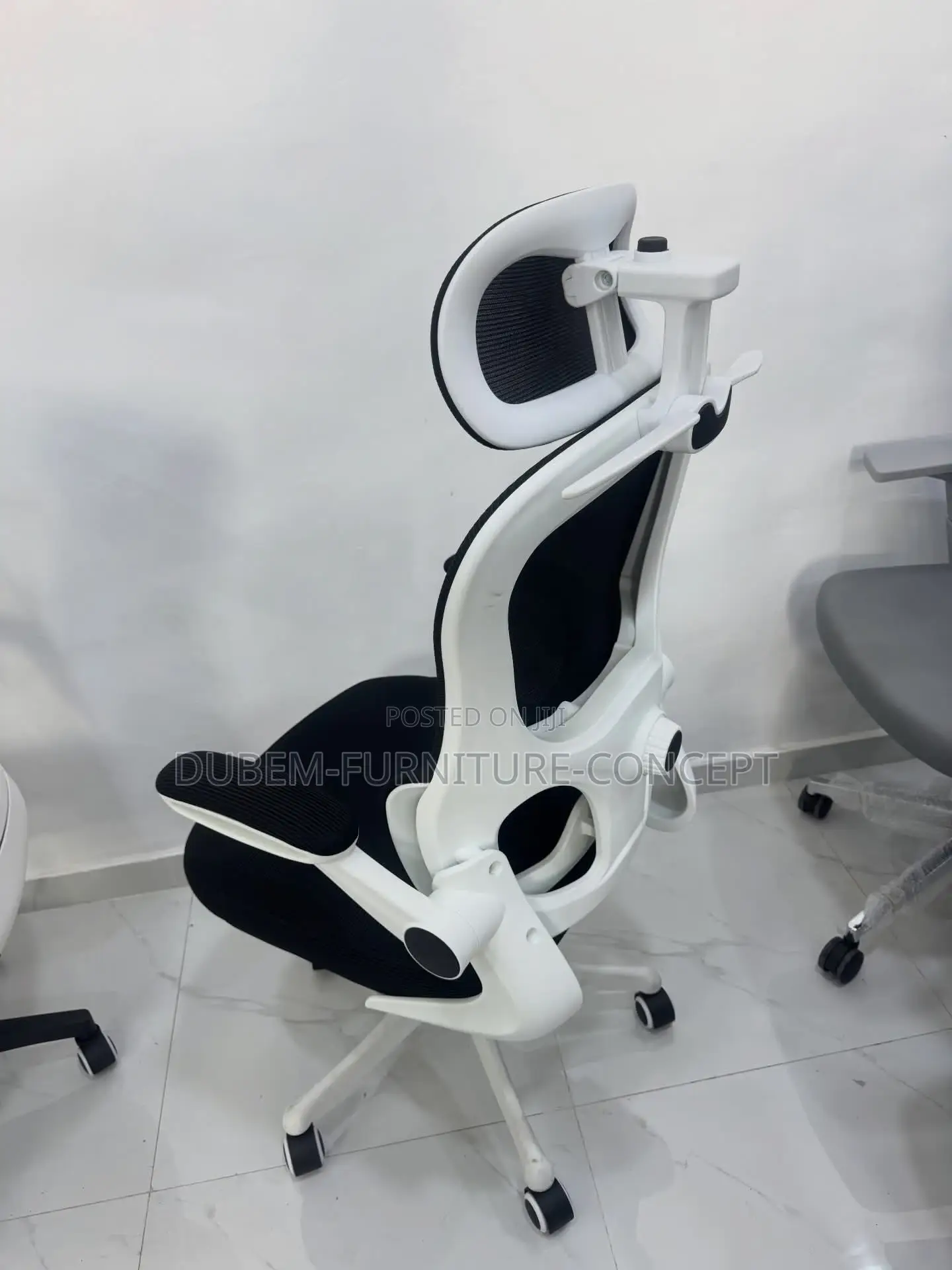 Ergonomic Chair White Back