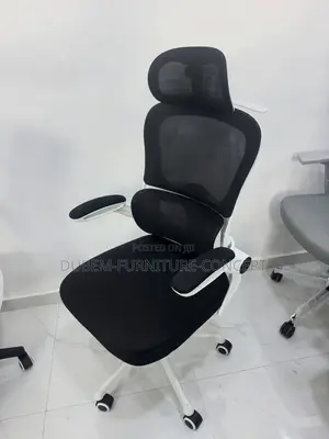Ergonomic Chair White Back