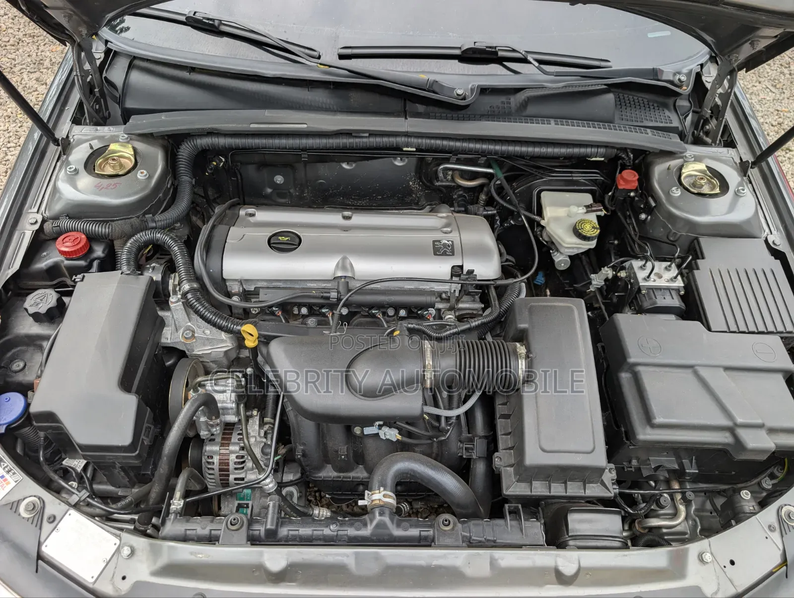 Peugeot 406 2000 Gray