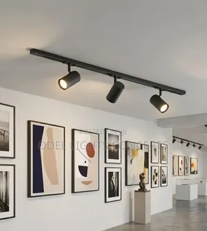 Track Light 3in1 Black Body