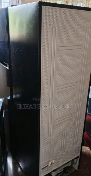 Standing Freezer