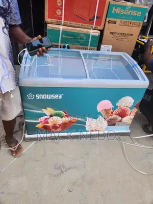 Original Snowsea Ice Cream Freezer