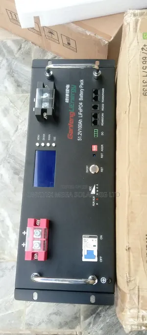Ganfeng Lienergy Lithium Ion Battery 5kwh 48v With Warranty