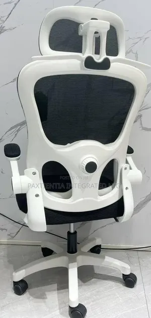 Executive Ergonomic Swivel Chair