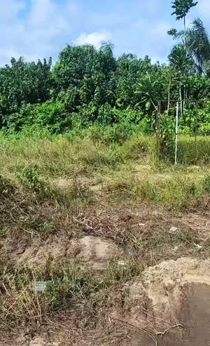 Affordable Properties Close to Lekki-Epe Express Way