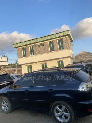 Lexus RX 330 2006 Gray