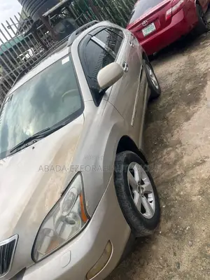 Lexus RX 330 AWD 2006 Silver