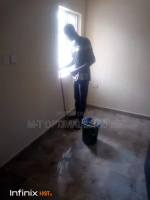 Professional Cleaning Services