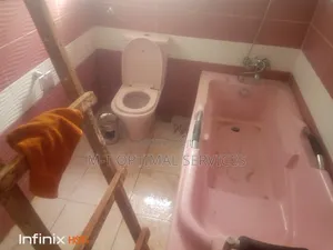 Professional Cleaning Services