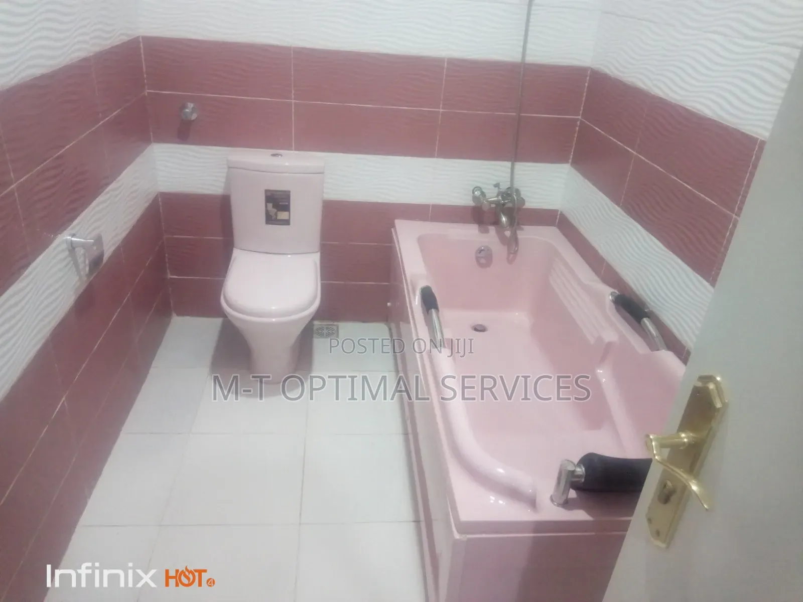 Professional Cleaning Services