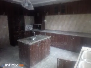 Professional Cleaning Services
